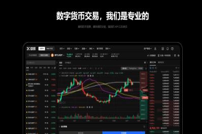 欧意交易所挂单手续费调整：优化手续费结构，提升交易体验