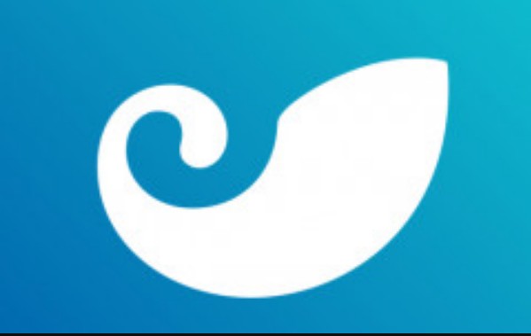 百度下载imToken视频去水印教程：免费工具Video Watermark Remover使用指南